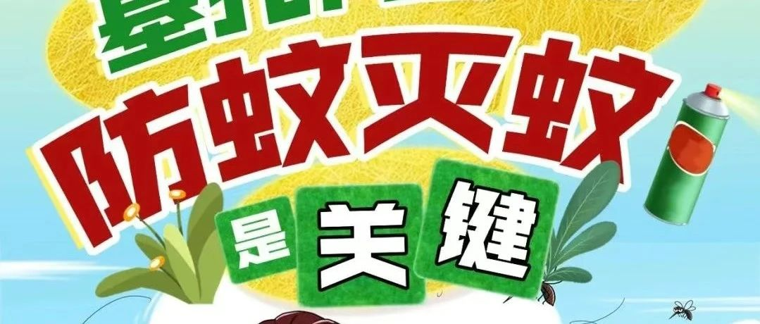 别让蚊子“叮”上你的假期！基孔肯雅热&登革热预防要点速览