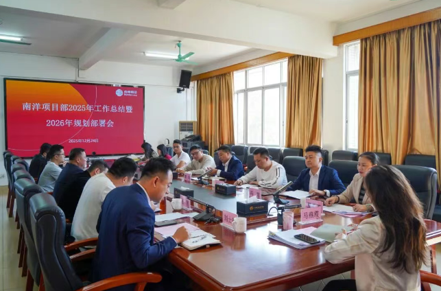 总结提升促发展，实干笃行谱新篇｜南洋项目部召开2025年度工作总结暨2026年工作部署会